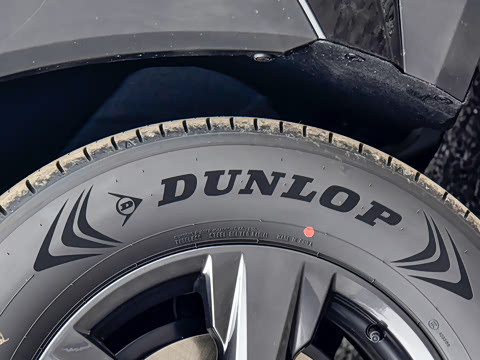 2026�� ˫�� 2.0L ������Ӣ��