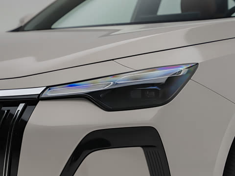 2026�� 1.5L �����