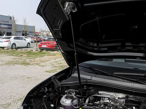 2026�� �Ŀ� 3000������ѡ�� 330TSI