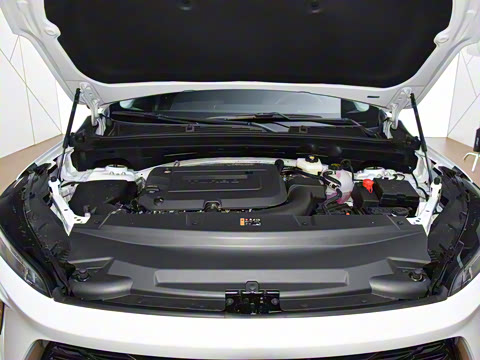 2026�� ������Plus 28T �����׽��