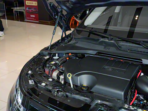 2026�� ��ʤ���� L SE