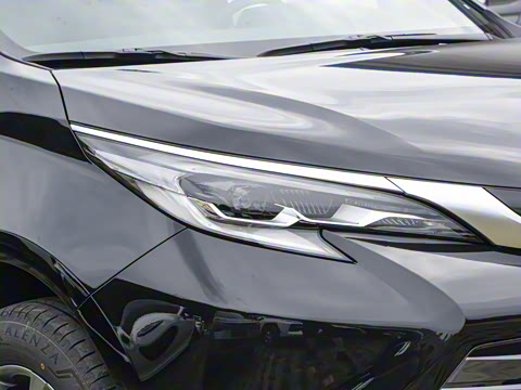 2026�� 2.5L ˫������������