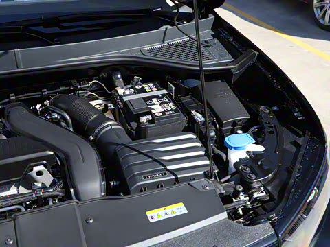 2026�� 300TSI DSG�����ǹ��