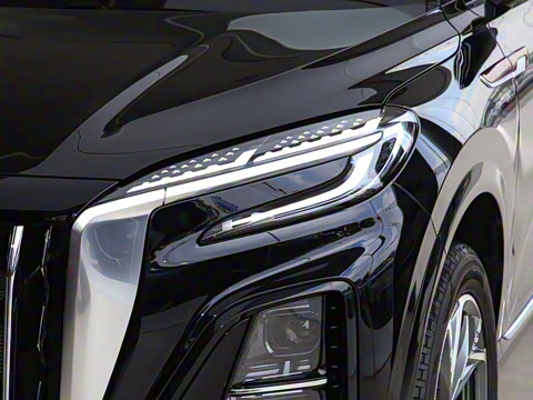 2025�� 117km ��Ϊ��