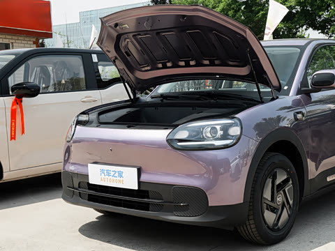 2026�� 310�Ȱ���