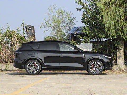 2025�� FREE+ ����Ǭ����