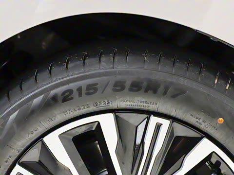 2025�� ��� 125km ������