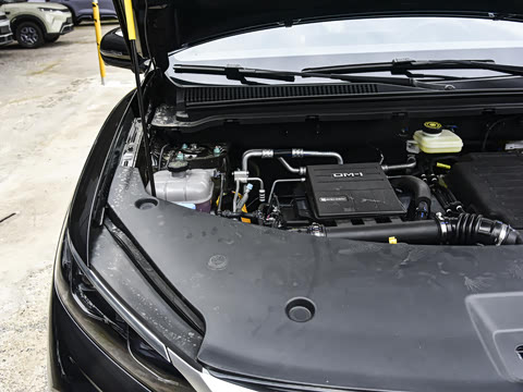 2026�� DM-i 220KM��Խ��