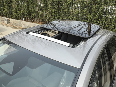 2026�� ������ PRO