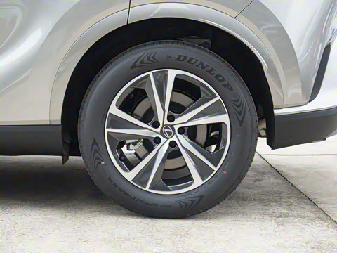 2026�� 300 ����������