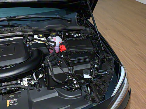 2025�� 28T ������