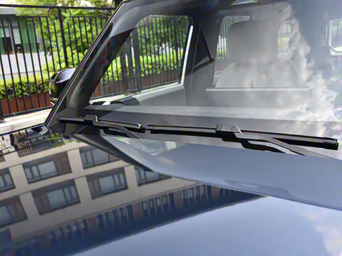 2025�� 520���а�