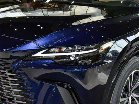 2026�� 300 ����������