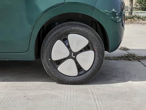 2026�� ����� 205km ���׿�