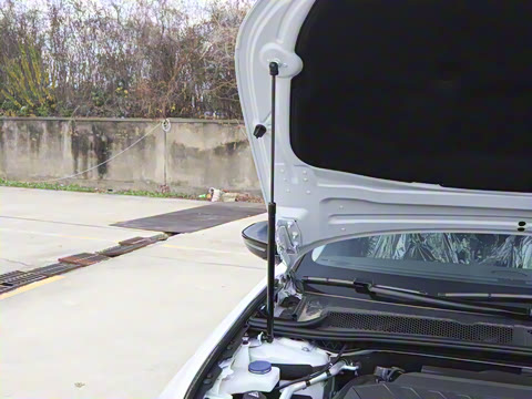 2025�� 508L 400THP Ԧ���콢��