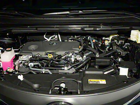 2026�� 2.5L ˫���������ʰ�