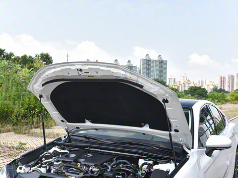 2026��  ˫�� 2.0HG ����