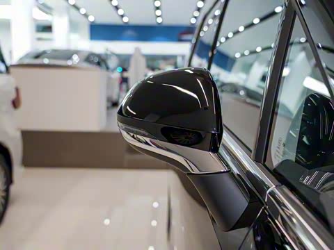 2025�� ���� �������������� ����