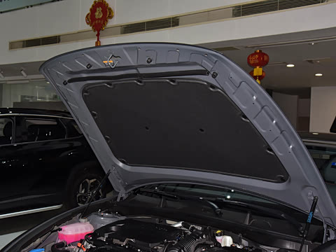 2024�� 2.0T N Line Pro