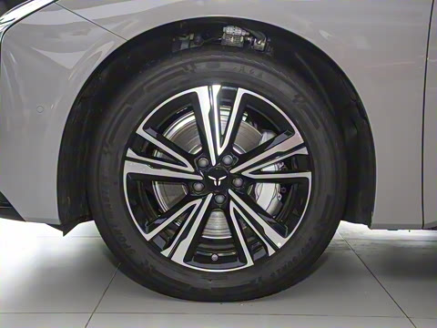 2024�� 600 Pro��ҫ��