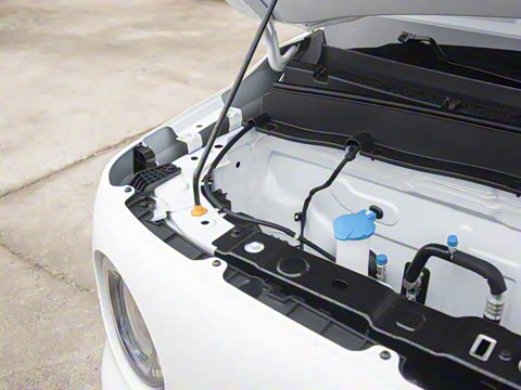 2025�� ������