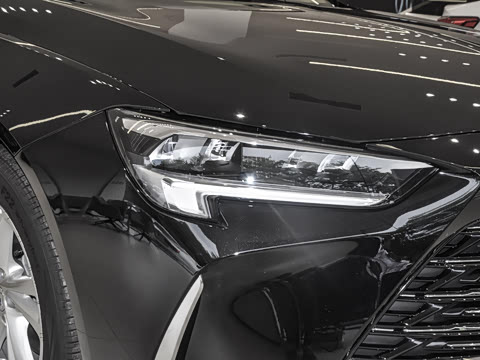 2025�� 25T ������