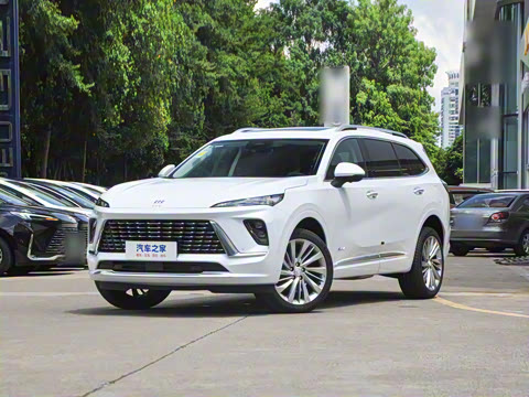 2026�� ������Plus ����Avenir��ά��