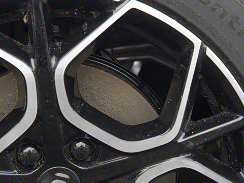 2026�� �����������̰� 310�콢��