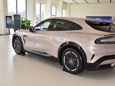 2025�� ������������Pro��