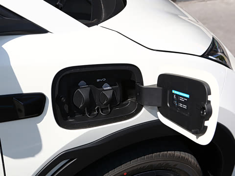 2026�� 305km ���ɰ�