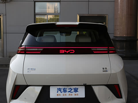 2026�� 305km ���ɰ�