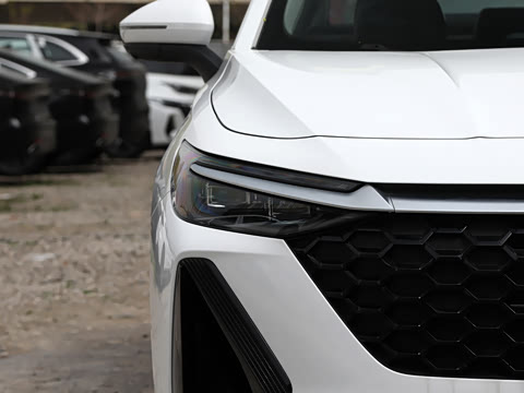 2026�� 1.6T ������