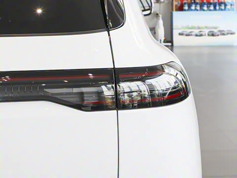 2025�� ���� 265 Max��������������ʻ