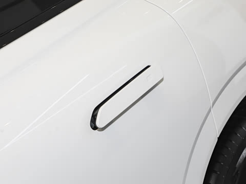 2025�� ���� 265 Max��������������ʻ