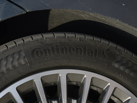 2026�� ����Max�� 7��