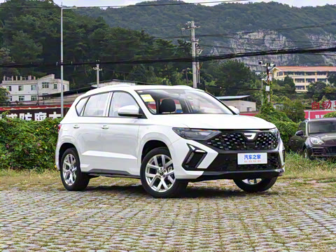 2026�� 280TSI �Զ��ȷ��