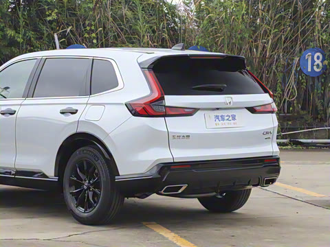 2026�� ȫ��30����ҫ�� 2.0L e:HEV ����������