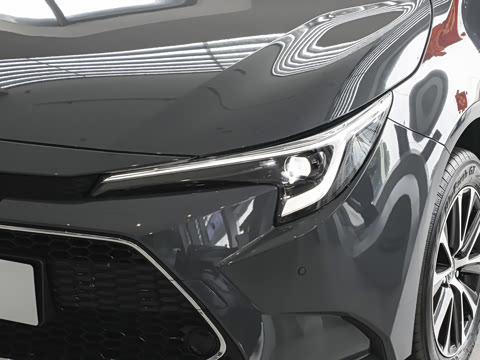 2026�� ����L 185T ������