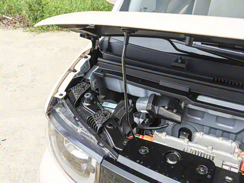 2025�� 205km ʥ����