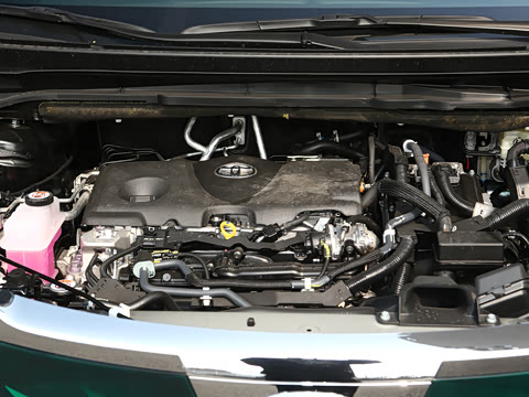 2026�� 2.5L �߶���