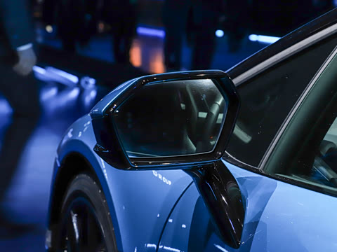 2025�� ������