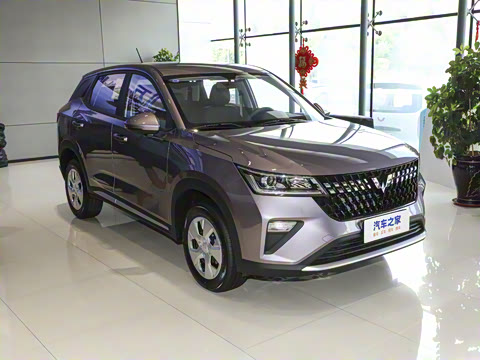 2026�� 1.5L �ֶ�������