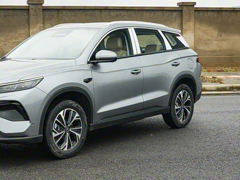 2026�� DM-i 133KM��Խ��