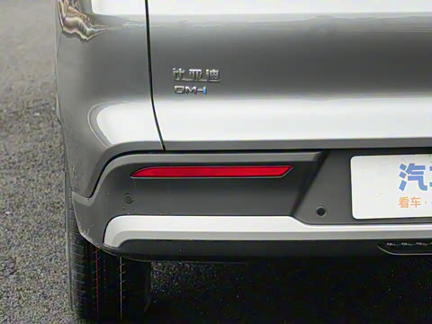 2026�� DM-i 133KM��Խ��