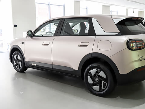 2026�� 310�Ȱ���