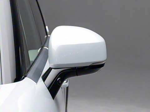 2025�� Max�� 55kWh