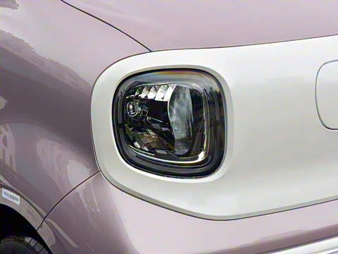 2026�� 222km ��ҫ��