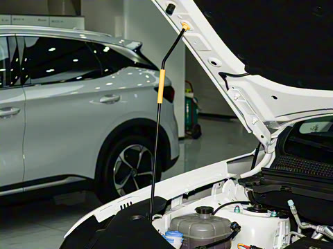 2026�� DM-i 220KM׿Խ��