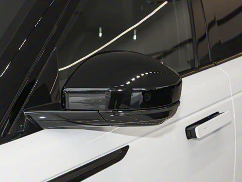 2026�� 250PS Dynamic SE