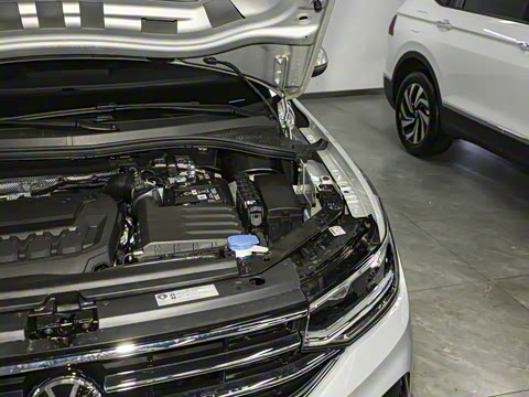 2025�� ���ڿ� 330TSI �Զ�����R-Line��ҫ��